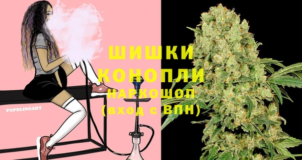ECSTASY Заводоуковск