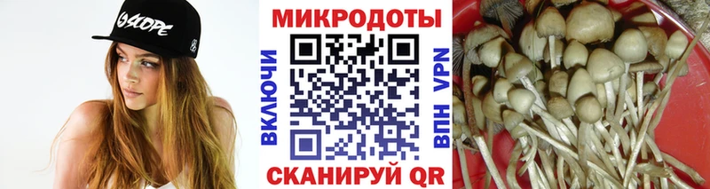 Псилоцибиновые грибы ЛСД MEGA маркетплейс Судогда